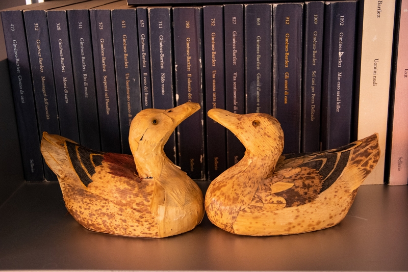 ducks and books